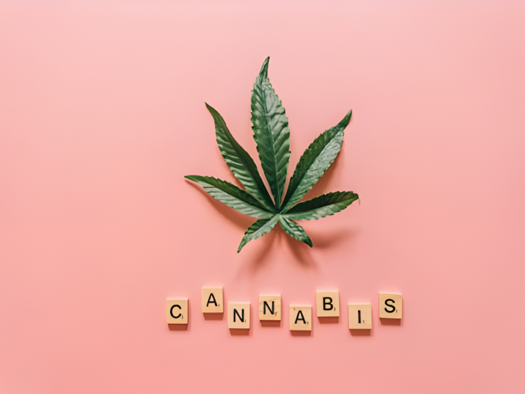 Community-Driven Weed Dispensary