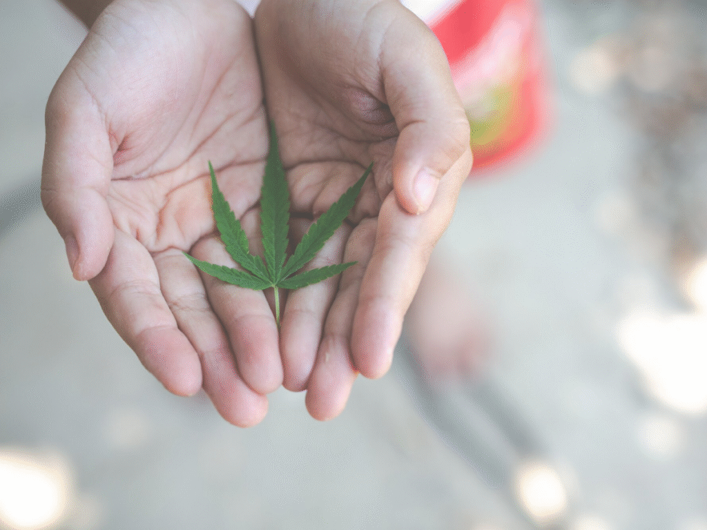 weed shop deals