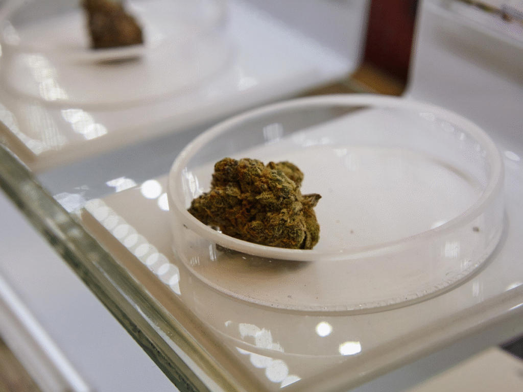best dispensary